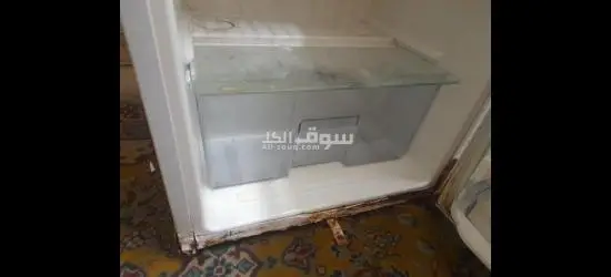 اسكندريه. فلمنج - 3