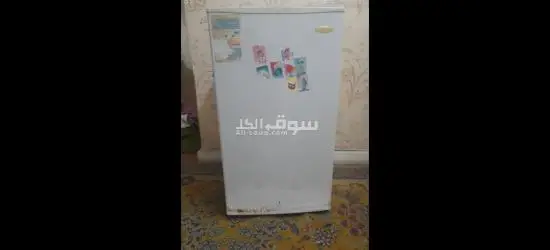 اسكندريه. فلمنج - 4