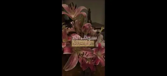 القاهرة فى العبور