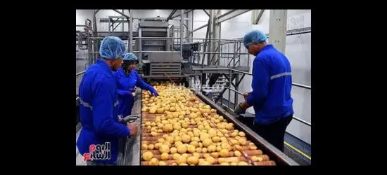 مطلوب للعمل فى مصنع مواد غذاءيه