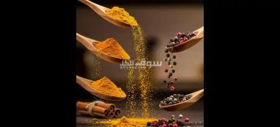 مصنع توابل في ٦ اكتوبر