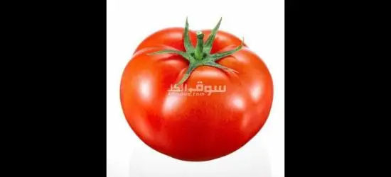 مطلوب عمال انتاج لمصنع طماطم