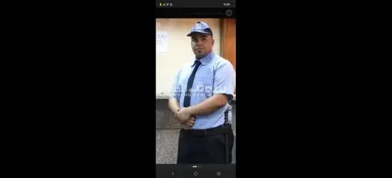القطاميه