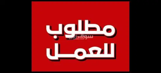 مطلوب هاوس كيبينج