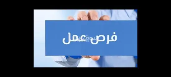 فرص عمل للشباب
