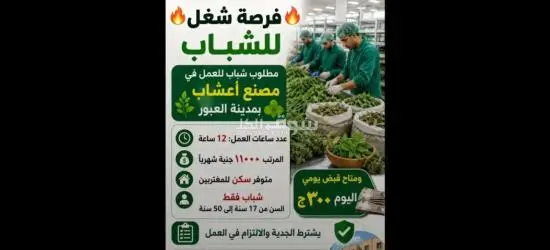 فرصه شغل مطلوب عمال بمصنع اعشاب في مدينه العبور