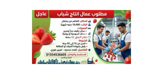 مطلوب عمال انتاج في مصنع فراولة