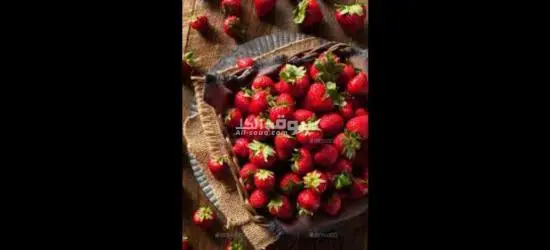 مطلوب عمال إنتاج ف مصنع فراولة