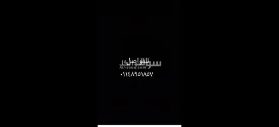 الجيزه