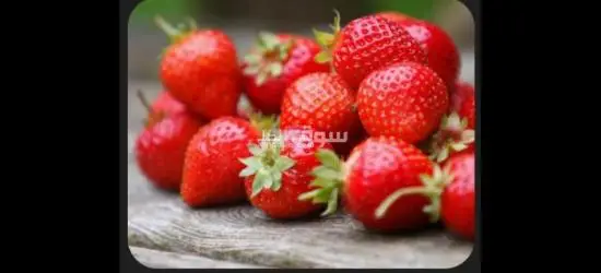 مطلوب عمال انتاج