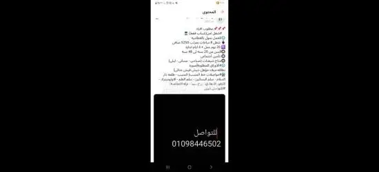 السلام - 2