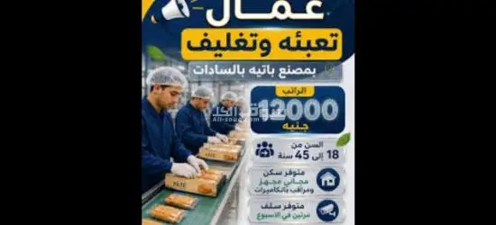 اعلان عن وظيفه - 2