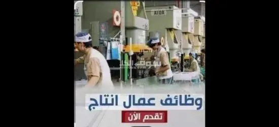 فرص عمل للشباب في مصنع طماطم ومواد غذائية