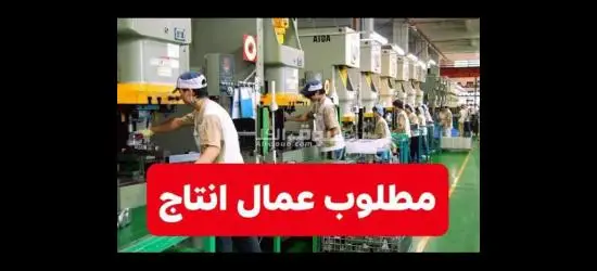 مطلوب شباب للعمل فى مدينة السادات في محافظة المنوفيه في مصنع بطاطس نص مقلية