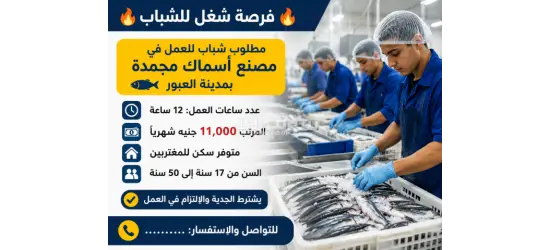 مطلوب شباب للعمل في مصنع اسماك مجمده في العبور