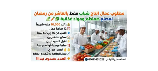 عمل في انتاج مصنع طماطم في العاشر