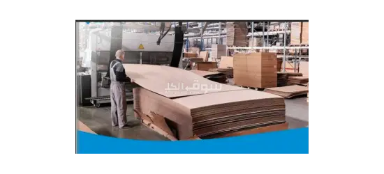عمال لمصنع كرتون
