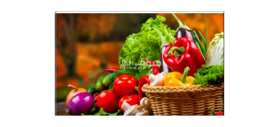 مصنع مواد غذائيه