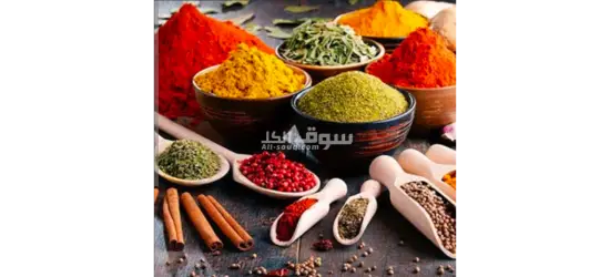 مصنع توابل بصل