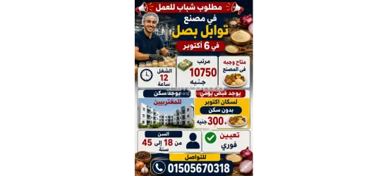 توظيف في 6أكتوبر الجيزة