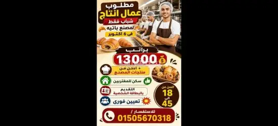 توظيف الشباب