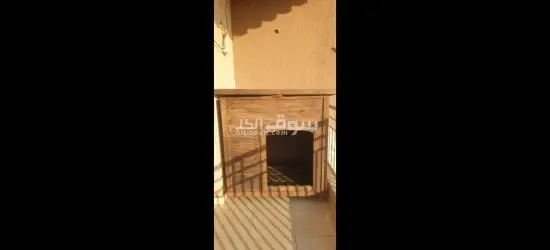 بيت كلب