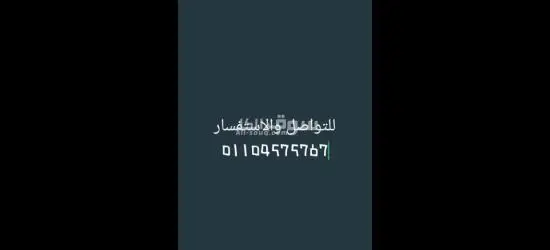 مصنع شيبسي في العبور