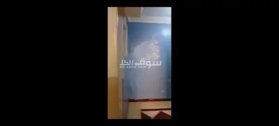 شارع الجمعيه الزراعيه بعين شمس الشرقيه