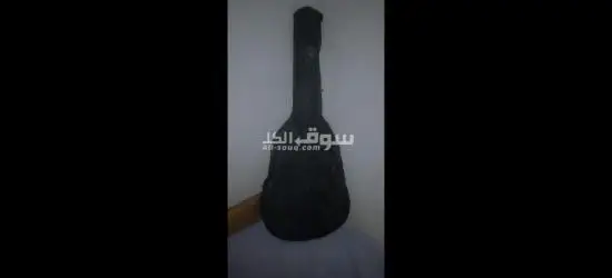 للبيع جيتار كلاسيك EKO بحالة الجديد - 2
