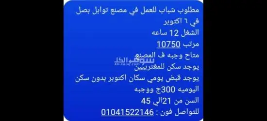 مطلوب شباب للعمل في مصنع توابل