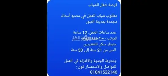 مطلوب شباب للعمل مصنع اسماك مجمدة