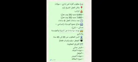افراد امن