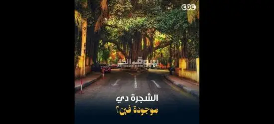 عمال مصنع طماطم