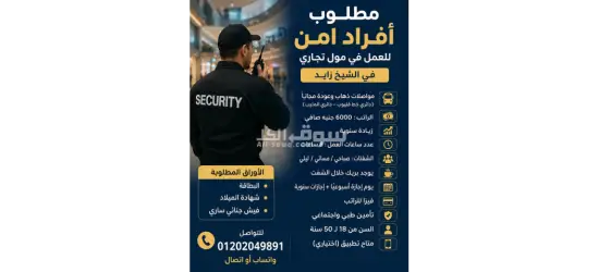 القاهرة الشيخ زايد