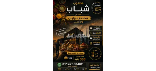 مطلوب شباب للعمل في مصنع توابل في ٦ أكتوبر