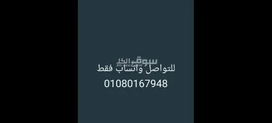 فرصة عمل بمصنع أسماك مجمدة