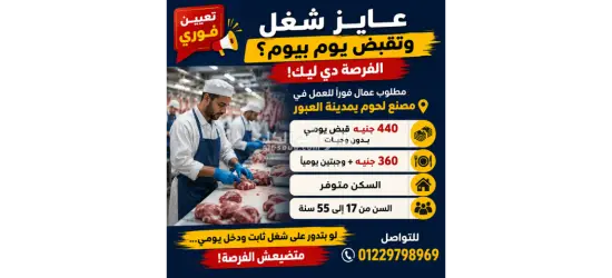 مطلوب عمال في مصنع لحوم بمرتب مجزي