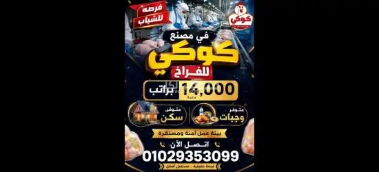 ٦ اكتوبر