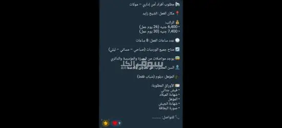 افراد امن الشيخ زايد
